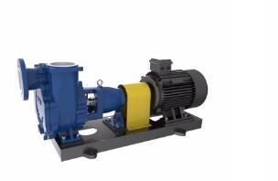 泉州原裝智能自吸泵非标定制